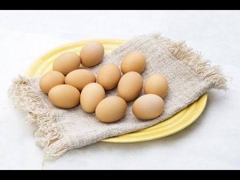 Ovos para Incubação | Sítio SANCAIPI - Cuidados com os Ovos para Incubação em Chocadeira