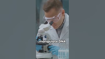 Unraveling DNA Methylation  The Hidden Layer of Genetics