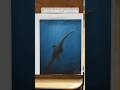 My first paleo oil painting #paleoart #plesiosaurus #oilpainting #animalart #art #deepsea