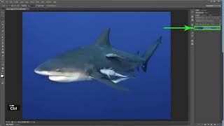 Photoshop Lasso tool Tutorial ( A•chik Ku•sikchi )