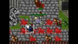 Tibia Noob war cantera.zapto.org