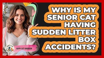 Why Is My Senior Cat Having Sudden Litter Box Accidents? - Happy Cat Handbook