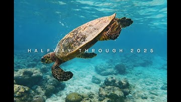 Condor 2025 Update: What’s Happening Now and What’s Coming — Watch to Find Out