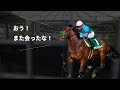 30秒に一度ブラストワンピースに会えるスポット