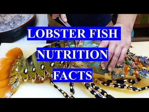 Video: Lobster - Composition, Useful Properties, Harm, Nutritional Value, Vitamins