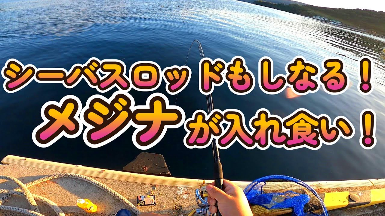 メジナが入れ食い！離島での釣り生活②【西ノ島/海釣り】