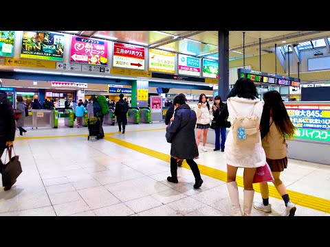 HACHIOJI NOW 2015 八王子NOW HACHIOJI NOW 2015 八王子NOW 51vLzCZcuiL._SY200_QL15_.jpg