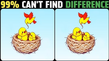 Think Fast! Can You Spot All 3 Changes?🥸🔥