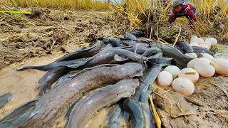 oh oh skills, catch a lot of fish in water and  pick duck eggs by hand skills