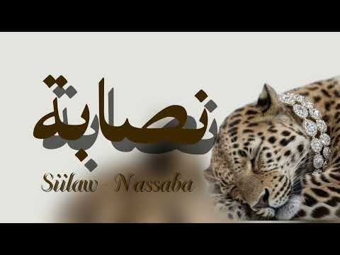   سيلاوي نصابة بدون موسيقى