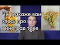 Чи розкажуть вам про виноград таке, частина перша