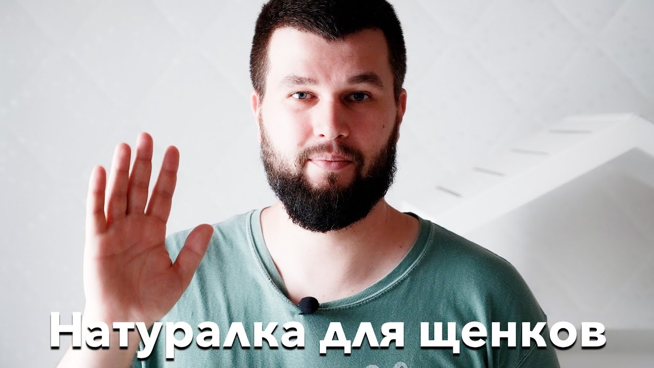 план естественного питания собаки