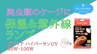 ②ビバリア ハイパーサンＵＶ100W 爬虫類紫外線ランプ 2個セット 楽天市場】ビバリア ハイパーサンUV 100W 昼光性爬虫類 保温球
