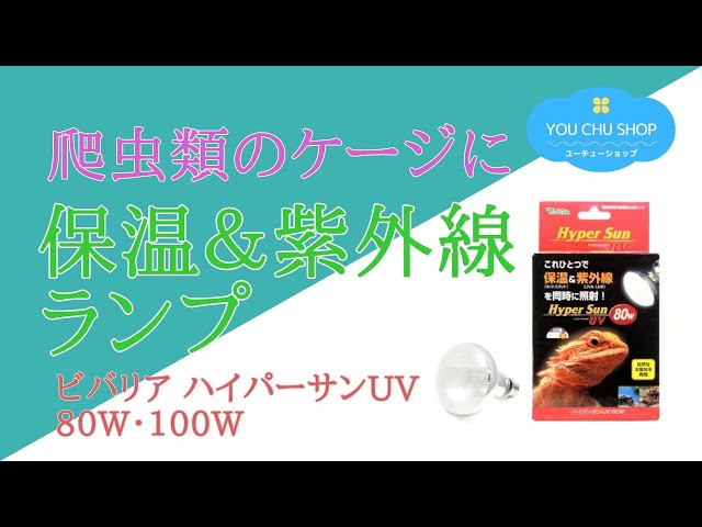 保温と紫外線の照射を両立させた画期的なランプ】ビバリア ハイパー
