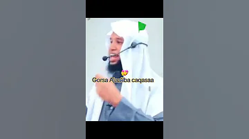 Ustaz Hamza Abdulhamid Gorsa Ajaa Iba Bareedaa Hanga Dhumaati Caqasaa Islamic Bbc Ethiopia 
