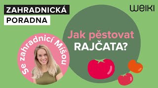 Jak zasadit a pěstovat rajčata? To vám řekne zahradnice Míša Brabcová