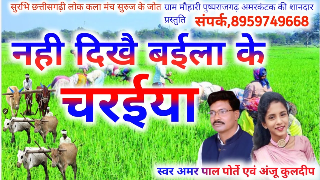 नही दिखै बईला के चरईया॥ अमर पाल पोर्ते, अंजू कुलदीप सीजी सांग॥ Nahi Dikhai Baila Ke Charaiya ॥