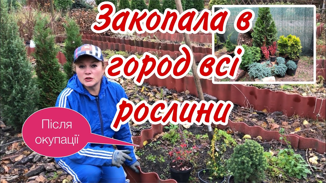 Город где производят ладу