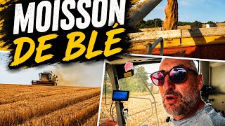 2026 Wheat Harvest