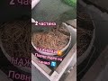 Вітаю ПІДПИШИСЬ SUBSCRIBE Gardening & farming life