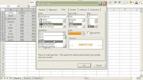 How to Use Format Menu in Excel 2003
