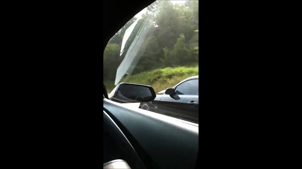 shark eats horse - YouTube