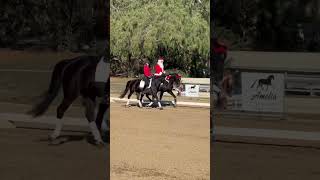 Happy Horsey Holidays