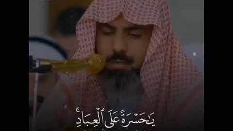 عمر عبدالله سوره يس