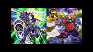 Obedience Raccoons | Original Yugioh Deck Profiles