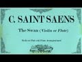 Csaint saens  le cygne  the swan violincello or flute  piano accompaniment