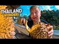Thailand Wonders Surat Thani To Nakhon Si Thammarat On Motorbike With Amazing Thai Food Thailand Wonders Surat Thani To Nakhon Si Thammarat On Motorbike With Amazing Thai Food