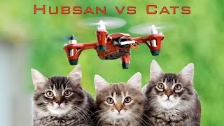 Hubsan vs Cats