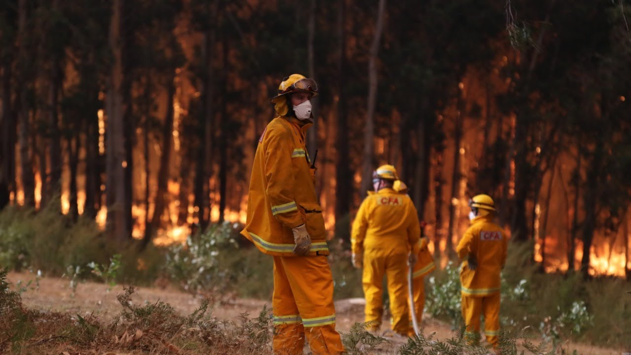 Victoria under total fire ban as extreme heatwave threaten the state ...