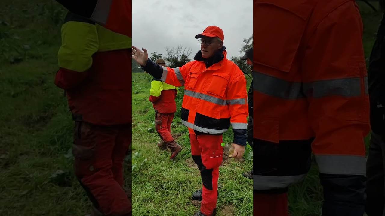 Ahrtal - Tag 89: Wir dürfen nicht weiter aufsammeln, das soll für die Natur so bleiben...