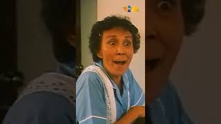 Kung sana makinig lang si Amy Austria! #shorts #movieclips #vivafilms