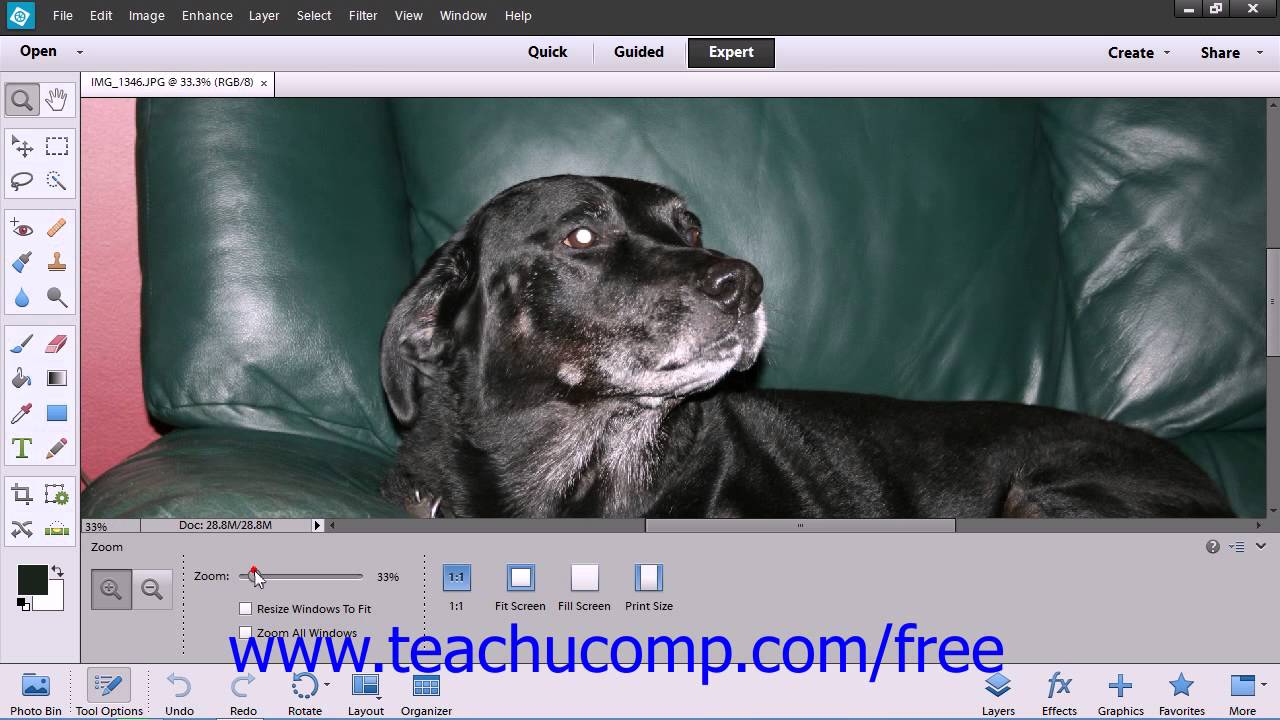 Photoshop Elements 12 Tutorial Image Magnification Adobe Training ...