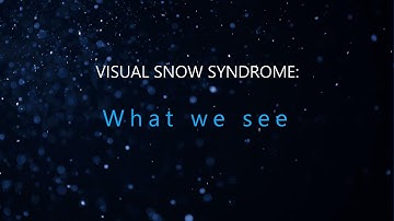 Visual Snow Syndrome: What we see