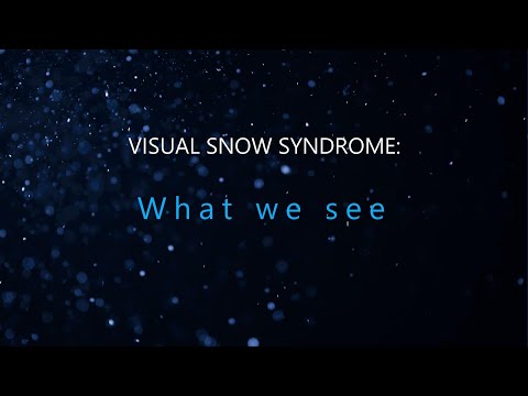 Visual Snow Syndrome: What we see