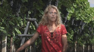 Winegrower Margherita Ruzzenenti  Farina Transparency