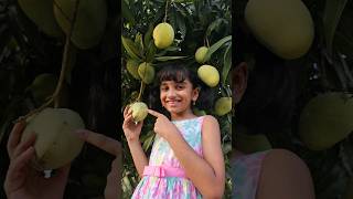 Tom 🍓 Jerry (Soumya&Ammu) Real End Twist😍🎈 #shorts #viral #v5familyshow