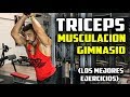 ➤ TRICEPS || Los MEJORES EJERCICIOS de TRICEPS de Musculación EN EL GYM