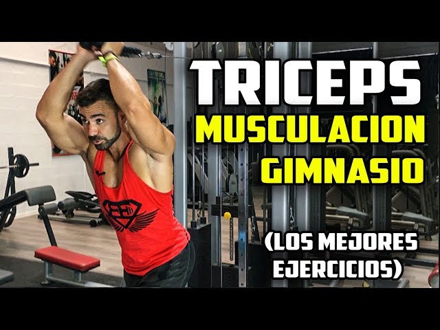 mejores ejercicios para desarrollar triceps