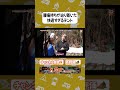 腰痛持ち必見!天井高と形で選んだお籠りソロキャンプ用テントがこれ #タナちゃんねる #アウトドア #キャンプ #tokyocrafts