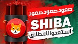 عمله الشيبا والبيتكوين صعود اكبر ?shib