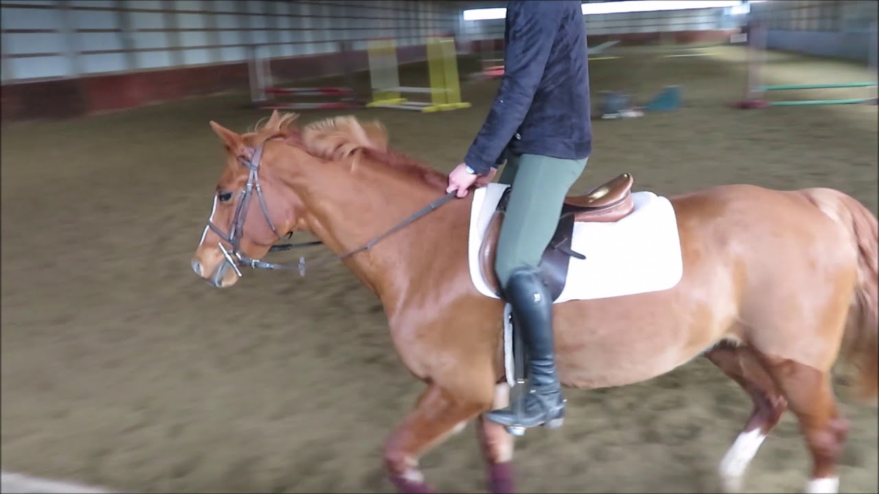 Hunting pony автокресло Hunting pony автокресло