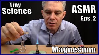 Tiny Science ASMR Episode 2 || Magnesium Experiments || Make Science Fun Net Worth
