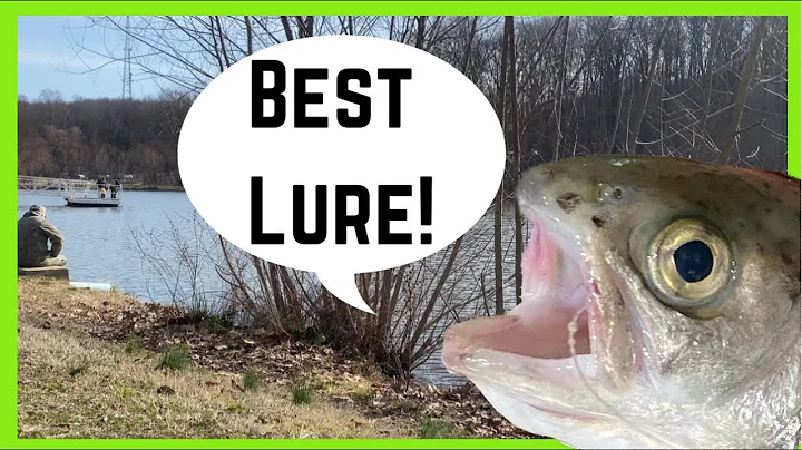 WAVERLY PARK LAKE- My Favorite Way to Catch Stocked Trout!