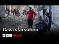 UN warns half of Gaza&#39;s population is starving - BBC News