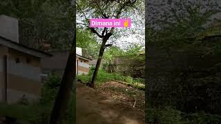 I'm at the madrasa... waiting for my beautiful daughter to go to madrasa school 🌹#lovingdaughter