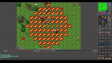 Old Tibia - Aurea War - Liam Darkcrosser (7.4 2005)